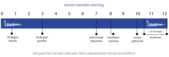 Tijdlijn dracht