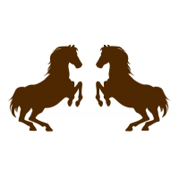 Rob de Voogd Horse Transport