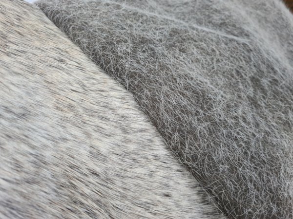 Stoffen voering paardendeken