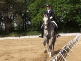 Dressuurserie: contragalop, eenvoudige wissel, changement