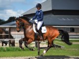 Dressuurtraining: Recht maken in contragalop