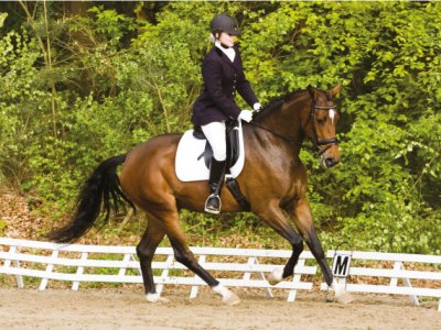 Buiten adem Verduisteren baden Galop verbeteren