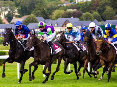 Het Ontdekken van Spannende Tijdverdrijven voor Paardenliefhebbers Thuis