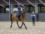 Maak van je passie je beroep: Kies voor een carrière in de paardensport!