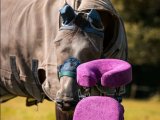 Massage van ruiter en paard: zelfzorg voor beiden