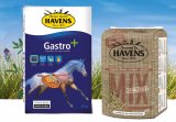 Nieuw paardenbrok: Gastro+