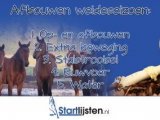 5 tips voor de koude dagen van je paard