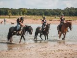 Ruiterkamp met eigen pony of paard