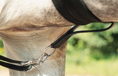 meer Titicaca Gezamenlijke selectie Sportschool Slofteugel verbod