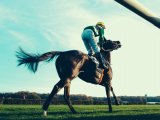 Wat vinden paardenliefhebbers van het gokken op paardenraces?