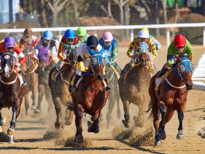 Wedden op paardenraces: hoe maak je de beste keuzes op de drafbaan?