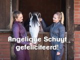 De jas is gewonnen door....
